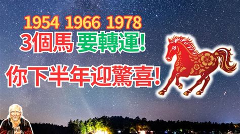 1966年生肖2023運程|【1966 年生肖】1966年出生生肖運勢解析！屬馬人的。